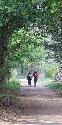randonnée saint jacques de compostelle - camino frances.jpg